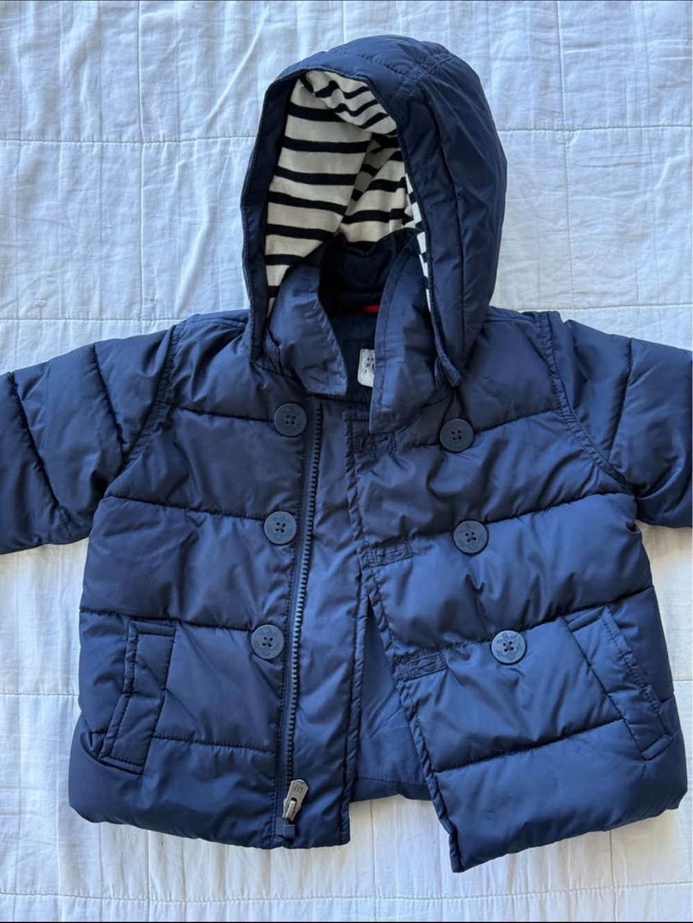 Baby GAP Navy Winter Jacket – 18-24 Months